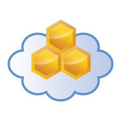 Aerohive HiveManager Classic Online - Licenza - 1 dispositivo - hosted