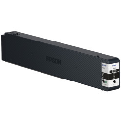 Epson - Cartuccia ink - Nero - C13T02S100