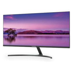 31 5 MONITOR Pro-Line VA 3840x2160 16:9 75Hz 350 nits