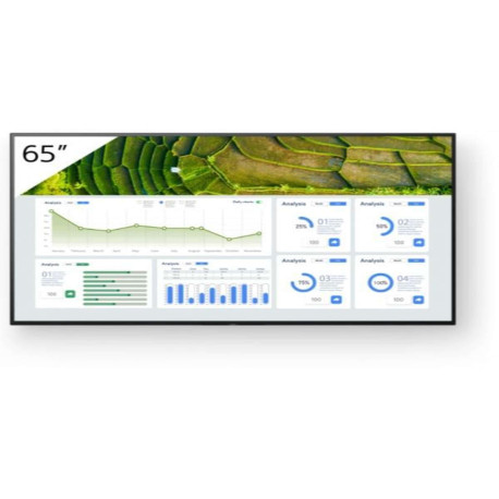 65 4K 24/7 PROFESSIONAL BRAVIA
