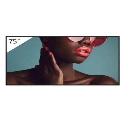 75 4K 24/7 PROFESSIONAL BRAVIA