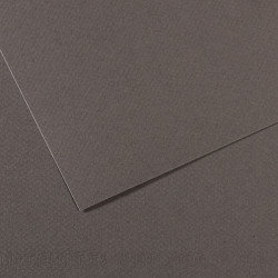 Foglio Mi-Teintes - A4 - 160 gr - grigio ardesia - Canson