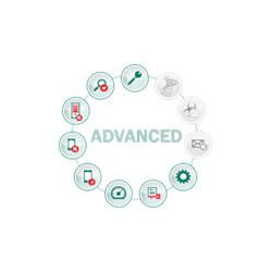 Kaspersky Endpoint Security for Business - Advanced - Aggiornamento licenza di abbonamento (1 anno) - 1 nodo - volume - Livello