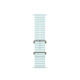Apple Cinturino Ocean blu ghiaccio (49 mm) - Titanio naturale