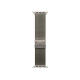 Apple Loop in maglia milanese in titanio naturale (49 mm) - Large