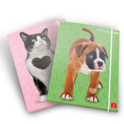 Pigna CARTELLE A 3 LEMBI A4 DORSO 1,3 CM