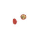 Molho Leone - Puntine da disegno - copertura in plastica - rosso - pacco da 50