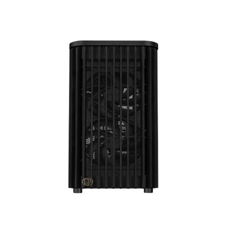 Asus PROART PA401 WOOD TG PWM BLACK
