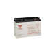 Batteria al piombo ricaricabile 12V 17Ah Yuasa NP17-12I 491461514