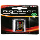 Batteria alcalina 6LR61 9V Pila