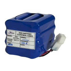 Batteria Life Point Pro Dura 5 anni 12V-Li-MnO2-4500mA