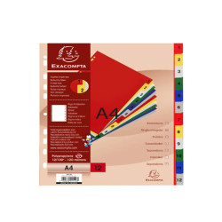 Divisori Numerici - 1-12 - PP opaco - A4 - colori assortiti - Exacompta