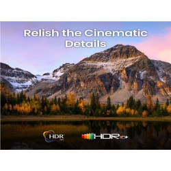 BenQ V5010i