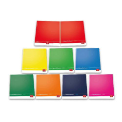 BLOCCHI QUADERNI E RUBRICHE - PIGNA COLOURS - 1R