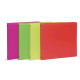 BLOCCHI QUADERNI E RUBRICHE - RACCOGLITORE NEON 4ANELLI DIAM.3