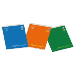 Blocco Colours - A4 - 210 x 210mm - 60 gr - 60 fogli - 5mm - Pigna