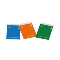 Blocco Colours - A6 - 100 x 150mm - 60 gr - 60 fogli - 5mm - Pigna