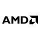 AMD Radeon Pro W5700 (Kit) - Scheda grafica - Radeon Pro W5700 - 8 GB GDDR6 - USB-C, 5 x Mini DisplayPort - per Dell 3630 Tower