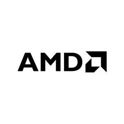 AMD Radeon Pro W5700 (Kit) - Scheda grafica - Radeon Pro W5700 - 8 GB GDDR6 - USB-C, 5 x Mini DisplayPort - per Dell 3630 Tower