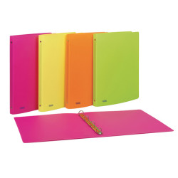 Raccoglitore neon - 22 x 30 cm - 4 anelli tondi 15 mm- PP - colori assortiti - Favorit