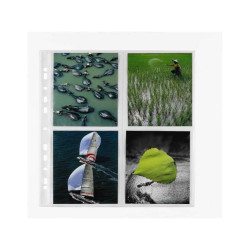 BUSTE PORTAFOTO SPECIAL PP 22 5X31 5 CON DIVISORIO NATURENE (POLIPROPILENE) FORATURA UNIVERSALE (CONF.10)