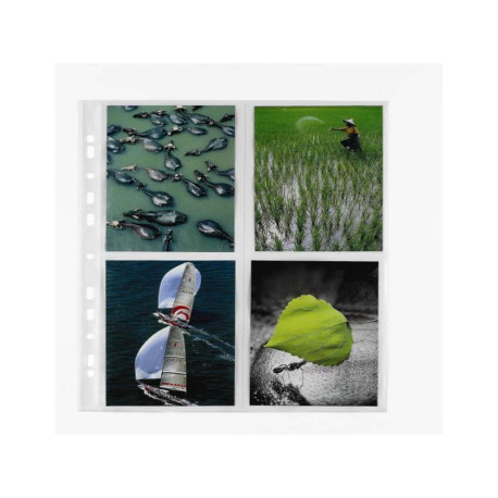 BUSTE PORTAFOTO SPECIAL PP 22 5X31 5 CON DIVISORIO NATURENE (POLIPROPILENE) FORATURA UNIVERSALE (CONF.10)