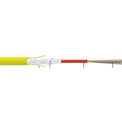 Cablaggio in Fibra Ottica - 19618600CZ