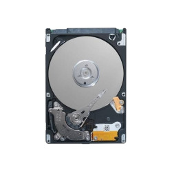 Dell - HDD - 1.2 TB - hot swap - 2.5" - SAS 12Gb/s - 10000 rpm