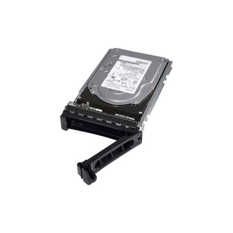 Dell - HDD - 2 TB - interno - 3.5" - SAS 12Gb/s - nearline - 7200 rpm - buffer: 256 MB - per PowerEdge T330 (3.5"), T430 (3.5")