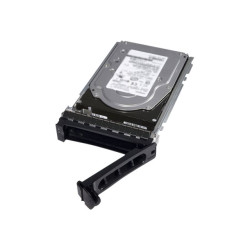 Dell - Kit Cliente - HDD - 1 TB - hot swap - 2.5" (in supporto da 3,5") - SATA 6Gb/s - 7200 rpm - per PowerEdge T330 (3.5")