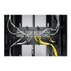 APC - Cable organizer - nero - 2U - per NetShelter EP- NetShelter ES- NetShelter SX- Netshelter VS- Netshelter VX- NetShelter W