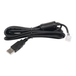 APC - Cavo USB - USB (M) a RJ-45 (10 pin) (M) - 1.8 m - nero - per Back-UPS LS 500