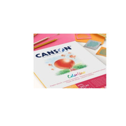 Canson ColorLine 70x100 bianco