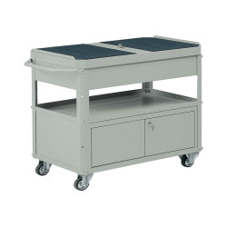 Carrello da lavoro - 2 vasche da 80 x 45 cm - con baule e portattrezzi - 92 x 47,8 x 87,5 cm - grigio - Tecnotelai