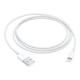 Apple - Cavo Lightning - Lightning maschio a USB maschio - 1 m