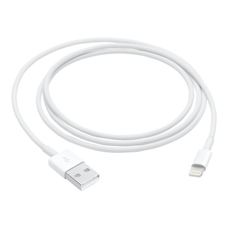 Apple - Cavo Lightning - Lightning maschio a USB maschio - 1 m