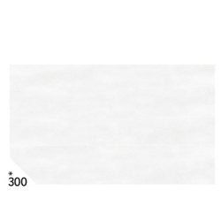 Carta velina - 50 x 70 cm - 20 gr - bianco 300 - Rex Sadoch - busta 26 fogli