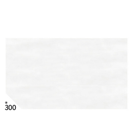 Carta velina - 50 x 70 cm - 20 gr - bianco 300 - Rex Sadoch - busta 26 fogli
