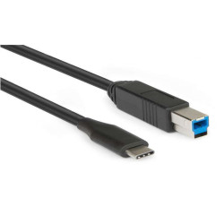 CAVI COMPUTER  MOBILE - XCTC-U3B100 Cavo USB-C to USB-B3.0 Maschio1 Metro