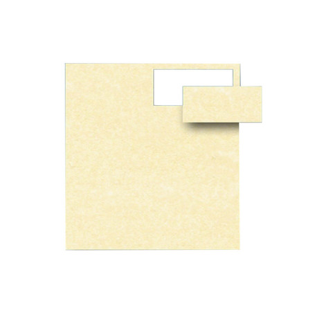 Biglietti da visita - 85 x 54 mm - 165 gr - microperforati - avorio - Decadry - conf. 12 fogli da 10 biglietti
