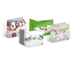 CF5 raccoglitori 30MM FANT.CUCCIOLI