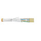 Datwyler Cavo FFTP Cat.6A CCA Arancio