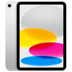 Apple iPad 11' Wi-Fi + Cellular 256GB - Argento