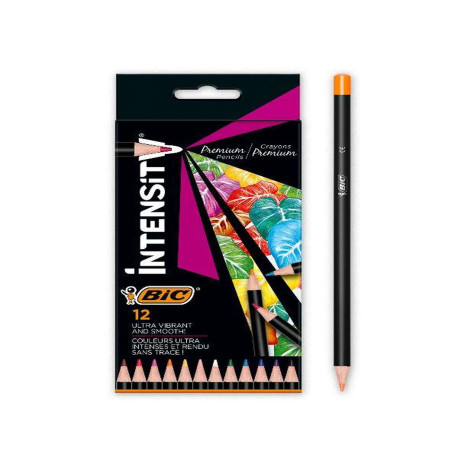 DIDATTICA E SCUOLA - INTENSITY - MATITE COLORATE