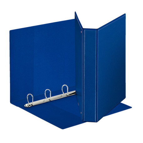 Raccoglitore personalizzabile Display - 22 x 30 cm - 4 anelli a D 30 mm - dorso 4,7 cm - blu - Esselte