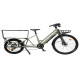 E-BIKE 36V 10AH CARGO C3 - GREEN