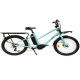 E-BIKE 36V 13AH CARGO MID MOTOR C2