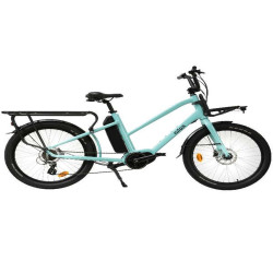 E-BIKE 36V 13AH CARGO MID MOTOR C2