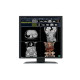 Eizo RadiForce RX270