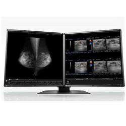 Eizo RadiForce RX560-MD